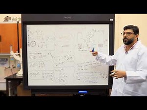 Fixed and Fluidized Bed Experiment (Theory and Live Experiment)
