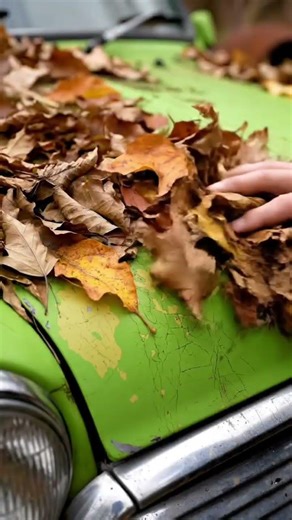 AASMR Car Restoration Old! Full Restoration Lime Green Mini Cooper Convertible 1972 #silentasmr