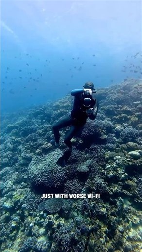 What Does the Water Mean to You? 🎥 Underwater Photography & Creativity #underwaterphotography
