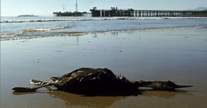 Tackling Ocean Challenges