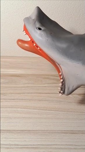 Shark puppet Funny Screaming 🌈🦈 #sharkpuppet #funny #satisfying