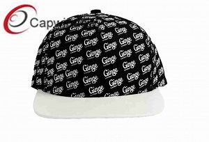 [Hot Item] Custom Printed Snapback Hat Logos on Crown Blank Cap (65050099)