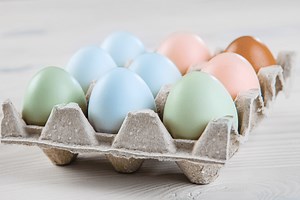 Chickens That Lay Blue Eggs: What Makes An Egg Blue, and Why?