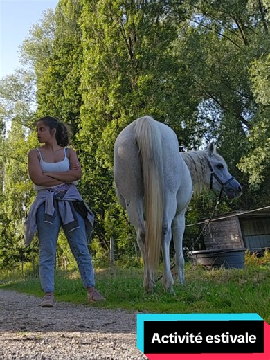 Activité estivale avec un cheval : garde du corps contre le taon
