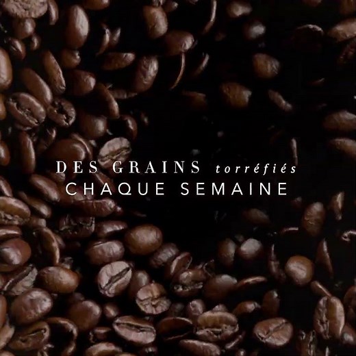 Les Cafés en Grain L'OR Dimensions