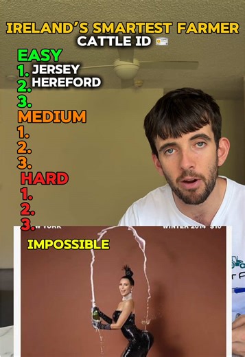 Cattle ID: Final Boss Assessment