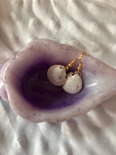 Seashell Earings | Real Shells | Earrings for Women - Etsy