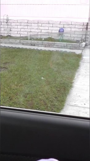 A short video about CAPTAIN… I’m so glad I spotted this guy! 🧡😺 #catrescue #cats #cat #fosteringsaveslives #catmanchris | Cat Man Chris