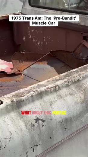 Expert Car Restoration Techniques for Barn Finds