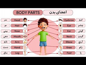 اعضای بدن| Body parts
