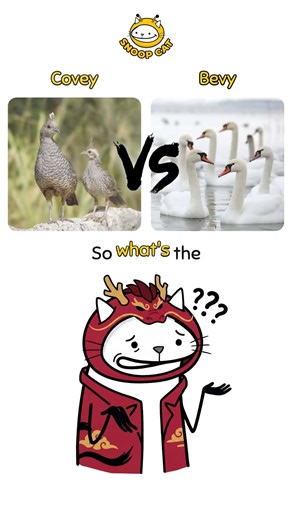 Rabble vs Horde 🌪 | What's the Difference?