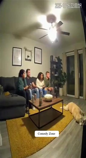 Tonight earthquake Cctv footage | Comedy Zone