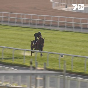 Romantic Warrior tackles the Dubai Turf this weekend under J-Mac! 💪 You can watch it all live on 7plus from 2am AEST on Sunday morning. | 7HorseRacing