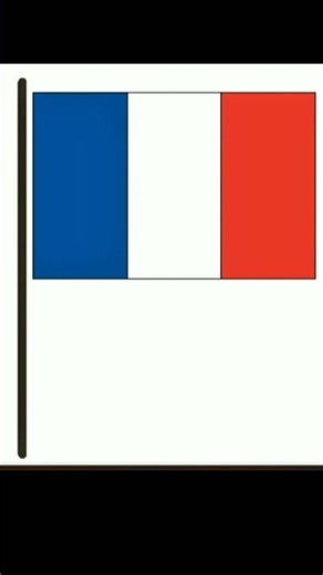 This Python Code Creates the France Flag in Real Time 🇫🇷 | #shortsfeed #coding