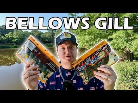 Fishing with the Geecrack Bellows Gill! (Review and First Impressions!)