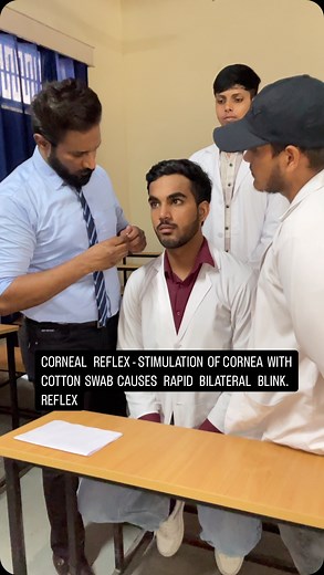 Dr Anurag Vivek Teji on Instagram: "OPTIC NERVE EXAMINATION- LIGHT REFLEXES AND CORNEAL REFLEX This video demonstrates the examination of optic nerve which is second cranial nerve #opticnerve #physicaltherapy #physicaltherapist #fisioterapia #fisio #physiotherapy #physiotherapist #cranialneves #neuroloy #lightreflex"