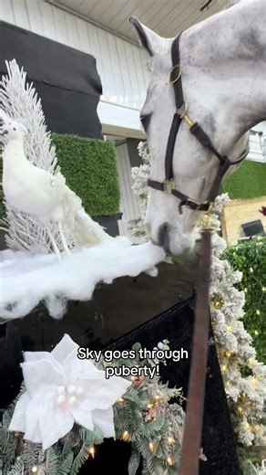 Growing My First Mustache: A Personal Journey