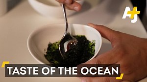 180K views · 636 reactions | Plankton: It's what's for dinner. | AJ+ | Facebook