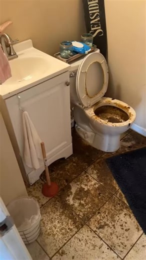 1.5K views · 14 reactions | Repairing a clogged sewer line...