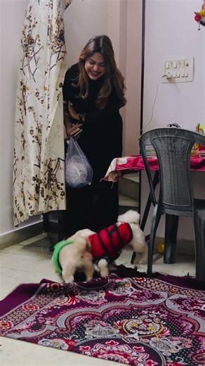 Pet lovers can relate..❤️||#shorts #viral #trending #dog #petshub #petlover #pets #dogshorts #puppy