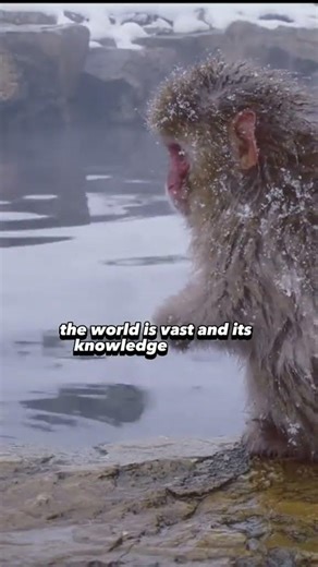 Socrates #Shorts #philosophylearned