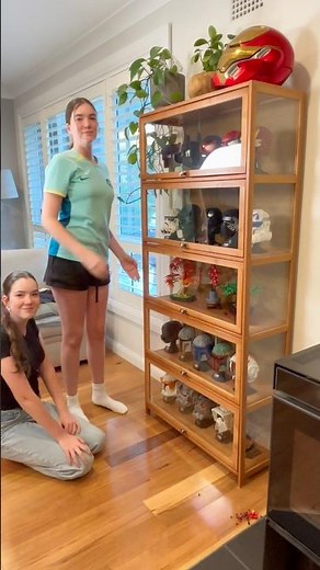 This affodable Temu display is perfect for collectors