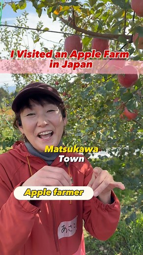27K views · 310 reactions | Fruit picking is very popular in Japan. Nagano’s Matsukawa Town is renowned for its apples. Fancy a fruit-picking experience there? #japantravel #visitjapan #japantrip #ruraljapan #nagano #matsukawa #sagojo #松川町 #applefarm #fruitpicking #apples #japanesefood | Tony's YamaTrips | Facebook