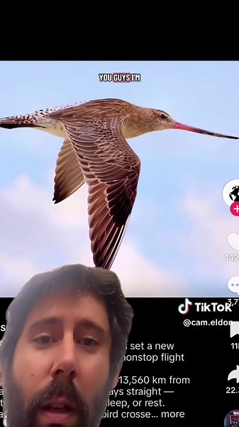 Cheers to this bird! Hope you have a great day! 🙌🫶🙏🤙🦅🔥