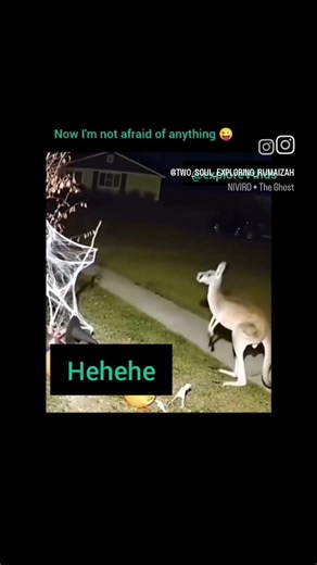 I am not afraid 😧 #funny #funnymemes #funnyvideo #fun #memes #lifeisbutadream