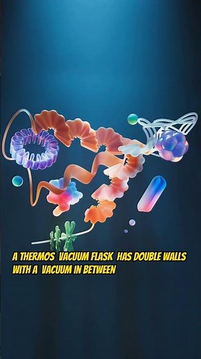 How Do Thermoses Keep Drinks Hot OR Cold?!