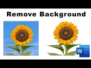 how to remove the background of a picture in Microsoft word 2016