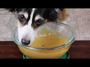 ASMR Dog Licking Peanut Butter