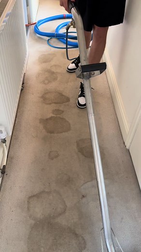 Expert Carpet and Upholstery Cleaning Services in the UK
