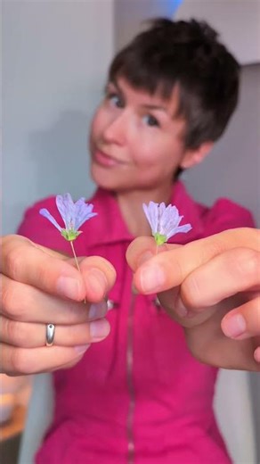 Whimsical Flower Power Notebook Craft 🌼📓✨