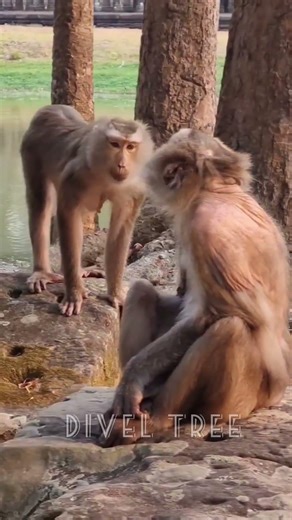 Muthi atta pettake babu | మూతి అట్ట పెట్టకే బాబు 😄