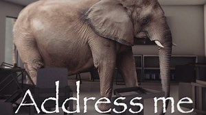 "Address Me" Elephant | Know Your Meme