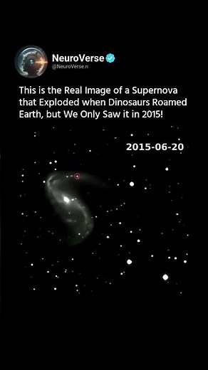 This Supernova Exploded During the Age of Dinosaurs