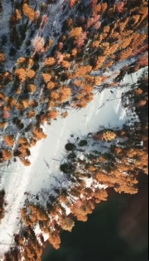 You only need these tips to master light and composition