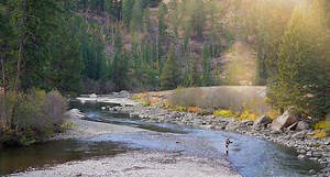 The 5 Best Fly Fishing Books According to Amazon Reviews