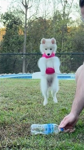 💕Watch How It All Goes Down In Our Full Video ⬇️