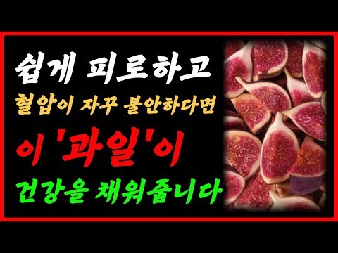 무화과 효능 제대로 알고 먹기 | 당뇨·혈압·장 건강에 좋은 과일? 부작용·먹는 법·보관법까지 시니어 필수 건강 정보