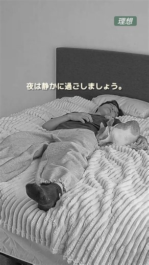 猫と暮らす理想と現実。#01