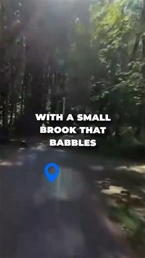 Secluded Forest Camping in WA – Blue Lake Creek Campground Tour