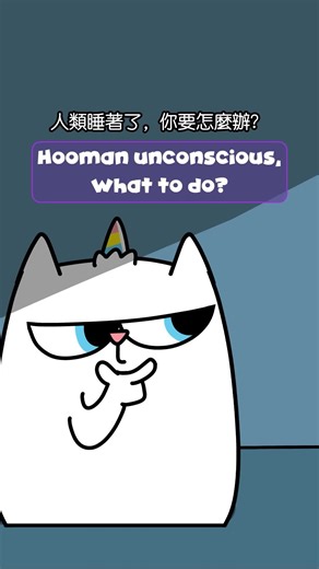 Shaogao 囂搞 on Instagram: ""Hooman’s asleep. What should I do?" 人類睡著了，我該怎麼做？ LINE原創貼圖搜尋：囂搞-外星貓貓 #line貼圖 #couple #animation #cartoon #comedy #funny #shaogao #囂搞"