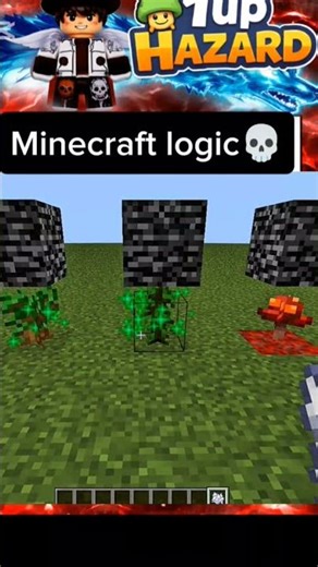 Minecraft logic 💀#minecraft #logic #unfrezzmyaccount #fyp