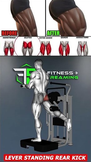 Build Stronger Quads, Glutes and Hamstrings With This Lower Body Workout 💪