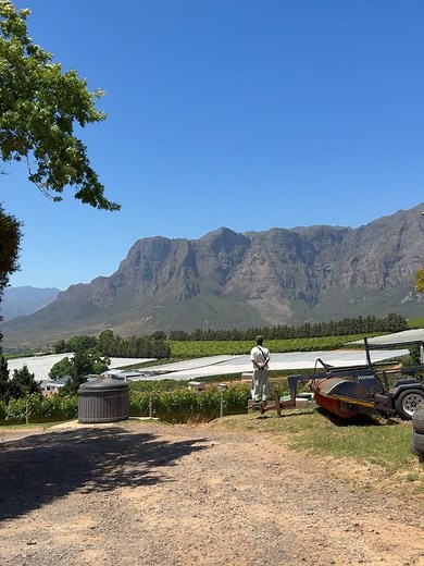 11K views · 37 reactions | Preston Perry on Reels | Facebook