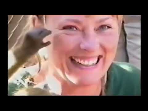 You've Been Framed! S17E17 (2006)