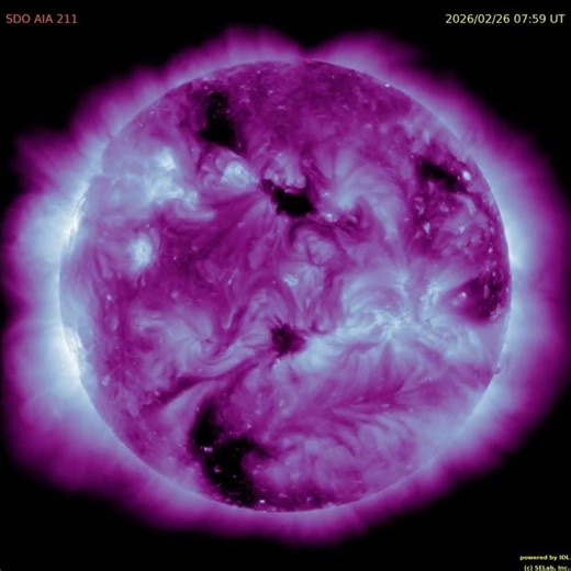 태양 전면 주간 UV (211A) 동영상 (weekly solar full-disk movie in UV : 2026. 2. 23 ~ 3. 1 #solar#태양#UV#자외선