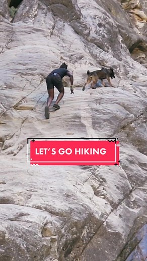 You Won’t Find A Better Hiking Partner